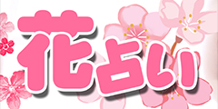 花占い