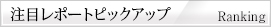 注目レポートピックアップ